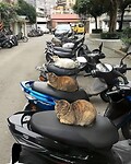 Thailand & Cambodja 2020 - Dag 41-Straat 22
