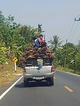 Thailand & Cambodja 2020 - Dag 41-Straat 24