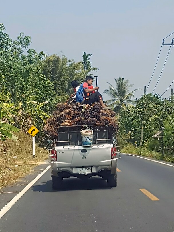 Thailand & Cambodja 2020 - Dag 41-Straat 24