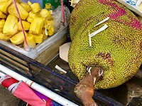 Thailand & Cambodja 2020 - Dag 41-Verkoop 015
