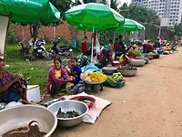 Thailand & Cambodja 2020 - Dag 41-Verkoop 024