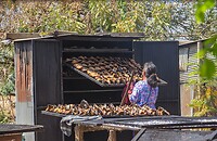 Thailand & Cambodja 2020 - Dag 41-Verkoop 085