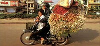 Thailand & Cambodja 2020 - Dag 41-Vervoer 46
