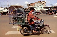 Thailand & Cambodja 2020 - Dag 41-Vervoer 49