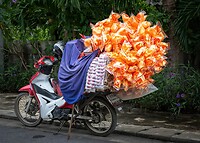 Thailand & Cambodja 2020 - Dag 41-Vervoer 57