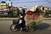 Thailand & Cambodja 2020 - Dag 41-Vervoer 57a