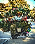Thailand & Cambodja 2020 - Dag 41-Vervoer 62