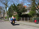 Die zien we ......