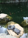 Hongkong national park