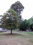 Op de camping