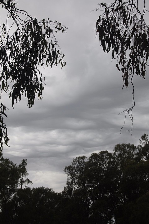 Thunderstorm
