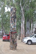The Thong Tree