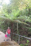 Jameson valley, Katoomba