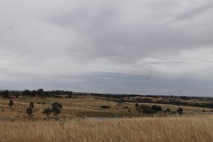 Weidse landschappen