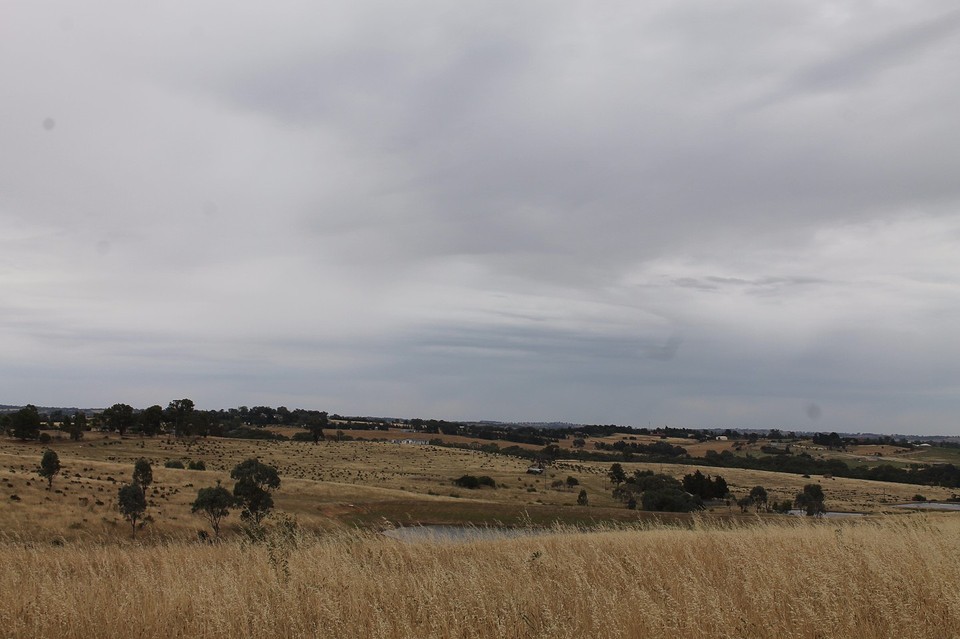 Weidse landschappen