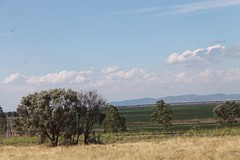 Onderweg naar Narrabri