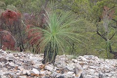 IMG_8034