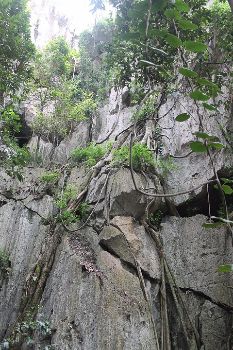 Capiricorn Caves