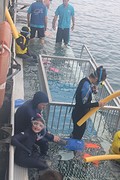 Snorkelen