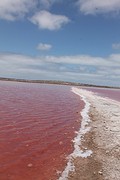 Pink lake