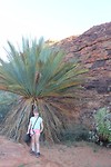 Kings Canyon