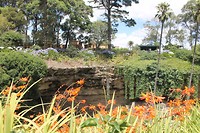 Umpherston sinkhole garden