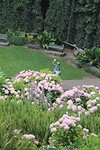 Umpherston sinkhole farden
