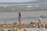 Zeesterren zoeken, net een walvis gemist