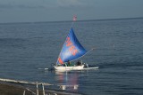 Visser met wind: oh yes!