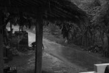 Regenseizoen