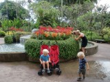 #1 hospot, orchidgarden