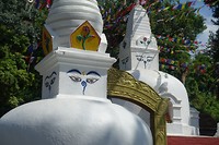 Swayambhunath (monkey temple)
