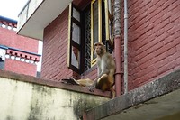 Chillen op het dakterras