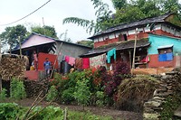 DSC00767