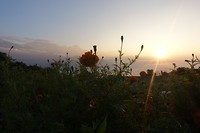 Zonsopkomst bij Australian Camp