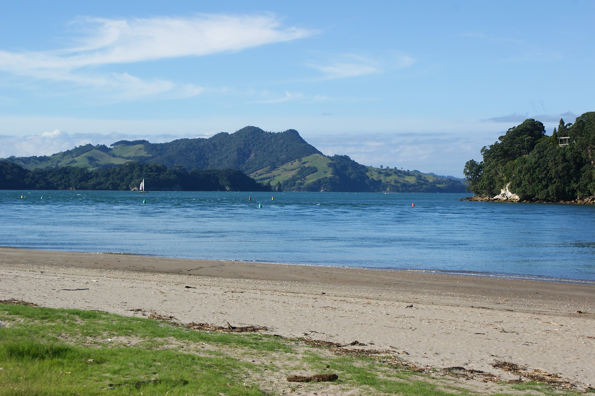 Whitianga Harbour Foto Reisblog Wijnand & Nicole