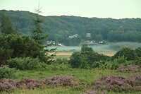 20220819064224_IMG_1721