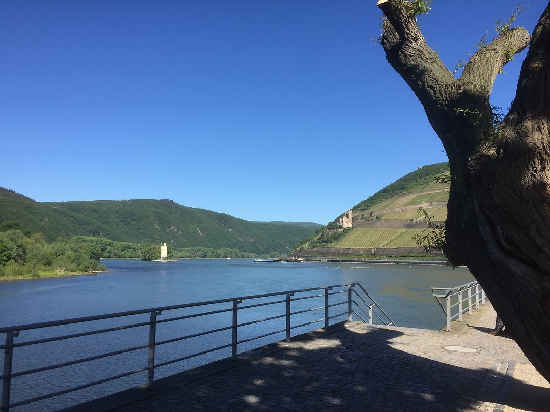 De Nahe mondt uit in de