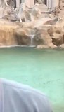 Wil doet een wens bij de Trevi fontein