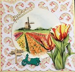 Felicitatiekaart Ans & Twan