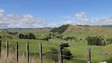 The Forgotten World Highway
