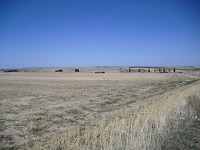 CIMG0067