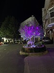 Talavera by night