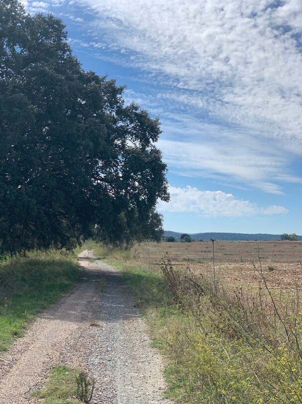 Andere via verde, zonder asfalt