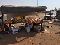 IMG_5825