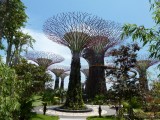 Gardens by the Bay