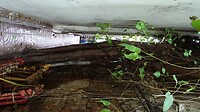 DSC01889