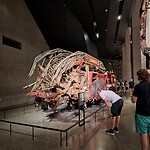 20230729_094828