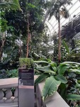 IMG-20230803-WA0012