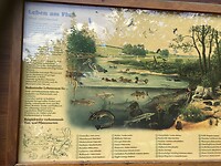IMG_1686